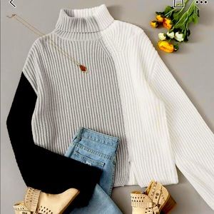 Colorblock lightweight turtleneck